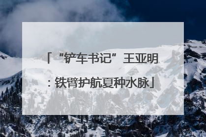 “铲车书记”王亚明：铁臂护航夏种水脉