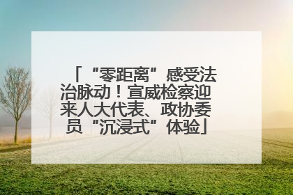 “零距离”感受法治脉动！宣威检察迎来人大代表、政协委员“沉浸式”体验