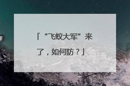 “飞蚁大军”来了，如何防？