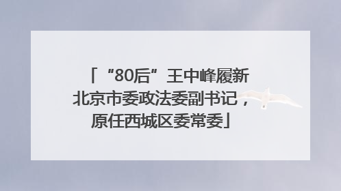 “80后”王中峰履新北京市委政法委副书记，原任西城区委常委