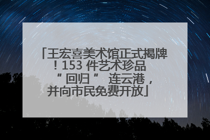 王宏喜美术馆正式揭牌！153 件艺术珍品 “ 回归 ” 连云港，并向市民免费开放