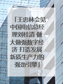 王忠林会见中国电信总经理刘桂清 做大做强数字经济 打造发展新质生产力的强劲引擎