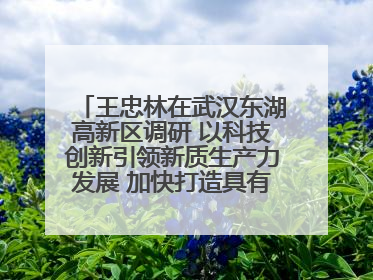 王忠林在武汉东湖高新区调研 以科技创新引领新质生产力发展 加快打造具有全国影响力的科技创新高地