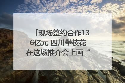 现场签约合作136亿元 四川攀枝花在这场推介会上画“图谱”列“清单”