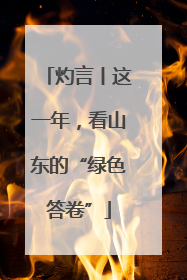 灼言丨这一年，看山东的“绿色答卷”