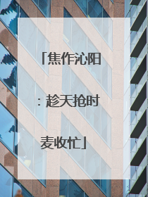 焦作沁阳：趁天抢时麦收忙