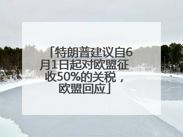 特朗普建议自6月1日起对欧盟征收50%的关税，欧盟回应