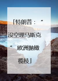 特朗普：“没空理马斯克” 欧洲抛橄榄枝