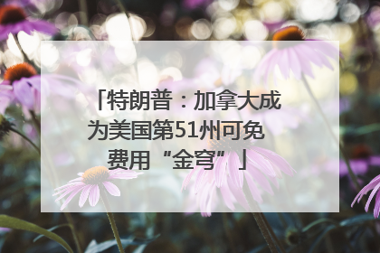 特朗普：加拿大成为美国第51州可免费用“金穹”