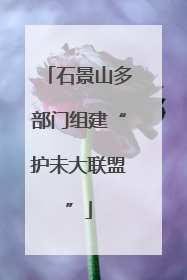 石景山多部门组建“护未大联盟”