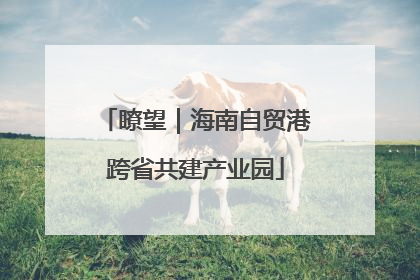 瞭望｜海南自贸港跨省共建产业园