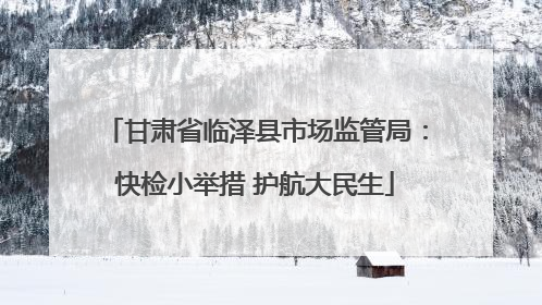 甘肃省临泽县市场监管局：快检小举措 护航大民生