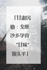甘肃民勤：戈壁沙乡孕育“甘味”领头羊