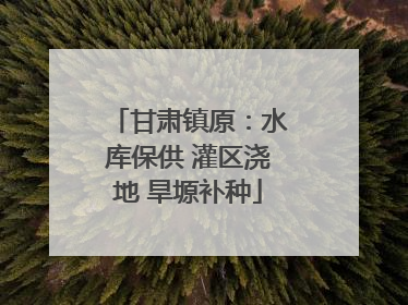 甘肃镇原：水库保供 灌区浇地 旱塬补种
