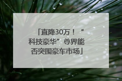 直降30万！“科技豪华”尊界能否突围豪车市场