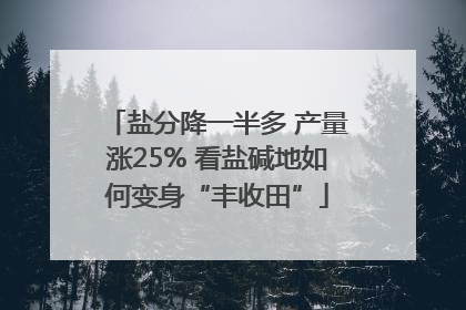 盐分降一半多 产量涨25% 看盐碱地如何变身“丰收田”