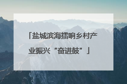 盐城滨海擂响乡村产业振兴“奋进鼓”