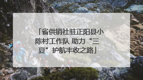 省供销社驻正阳县小陈村工作队 助力“三夏”护航丰收之路