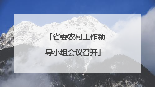 省委农村工作领导小组会议召开