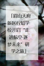 眉山天府新区行知学校开启“走进航空·逐梦未来”研学之旅