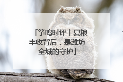 筝鸣时评丨夏粮丰收背后，是潍坊全城的守护