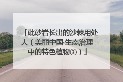 砒砂岩长出的沙棘用处大（美丽中国·生态治理中的特色植物③）