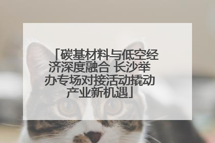 碳基材料与低空经济深度融合 长沙举办专场对接活动撬动产业新机遇