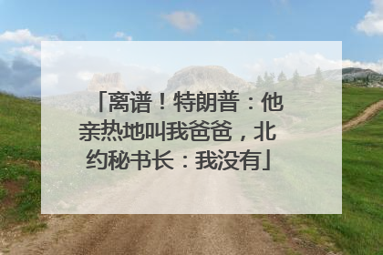 离谱！特朗普：他亲热地叫我爸爸，北约秘书长：我没有