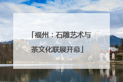 福州：石雕艺术与茶文化联展开幕