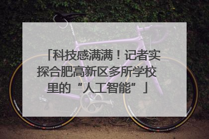 科技感满满！记者实探合肥高新区多所学校里的“人工智能”