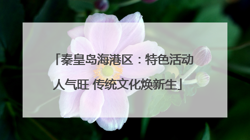 秦皇岛海港区：特色活动人气旺 传统文化焕新生
