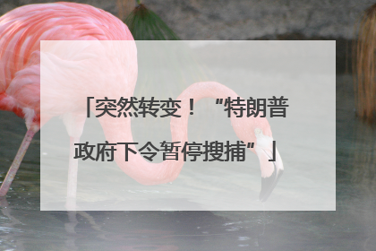 突然转变！“特朗普政府下令暂停搜捕”