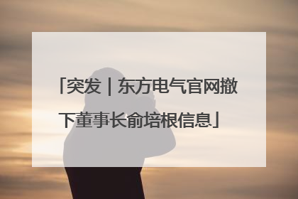 突发｜东方电气官网撤下董事长俞培根信息