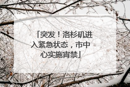 突发！洛杉矶进入紧急状态，市中心实施宵禁