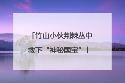 竹山小伙荆棘丛中救下“神秘国宝”