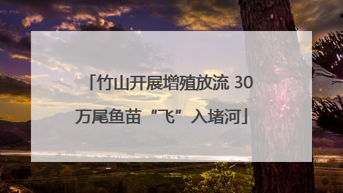 竹山开展增殖放流 30万尾鱼苗“飞”入堵河