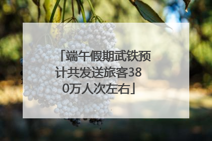 端午假期武铁预计共发送旅客380万人次左右