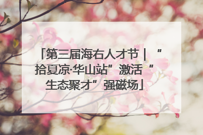 第三届海右人才节｜“拾夏凉·华山站”激活“生态聚才”强磁场