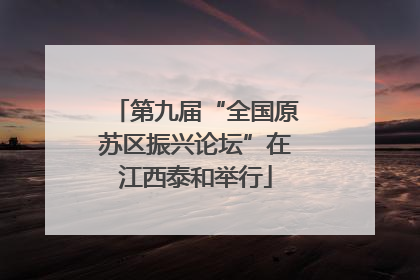 第九届“全国原苏区振兴论坛”在江西泰和举行