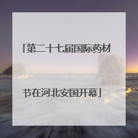 第二十七届国际药材节在河北安国开幕