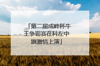 第二届成峰杯牛王争霸赛在科左中旗激情上演