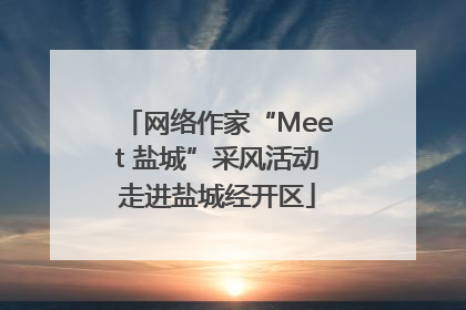 网络作家“Meet 盐城”采风活动走进盐城经开区