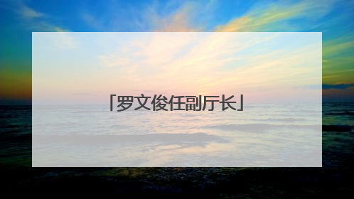 罗文俊任副厅长