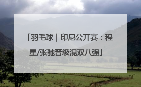 羽毛球｜印尼公开赛：程星/张驰晋级混双八强