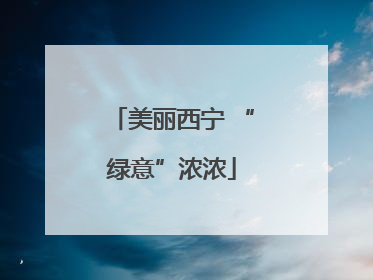 美丽西宁 “绿意”浓浓