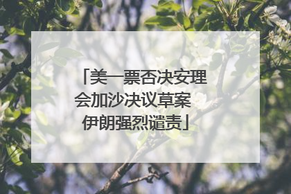 美一票否决安理会加沙决议草案 伊朗强烈谴责