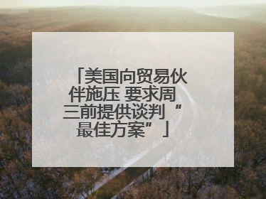 美国向贸易伙伴施压 要求周三前提供谈判“最佳方案”