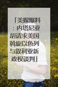 美媒爆料：内塔尼亚胡请求美国斡旋以色列与叙利亚新政权谈判