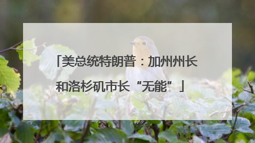 美总统特朗普：加州州长和洛杉矶市长“无能”