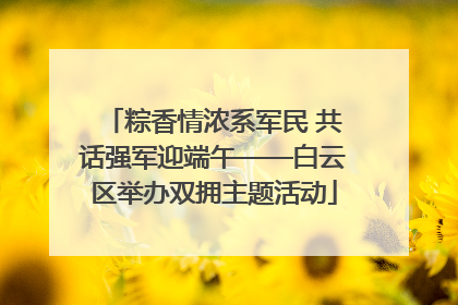 粽香情浓系军民 共话强军迎端午——白云区举办双拥主题活动